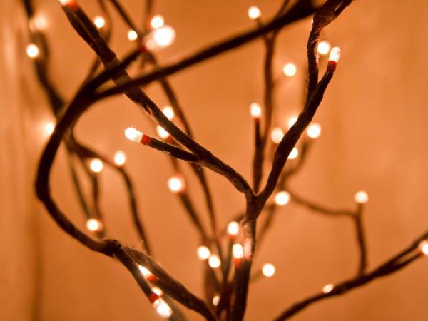 La Casa del Naranjo Hotel Boutique : photo 8 de la chambre petite chambre double