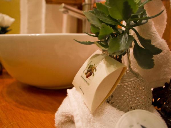 La Casa del Naranjo Hotel Boutique : photo 2 de la chambre petite chambre double