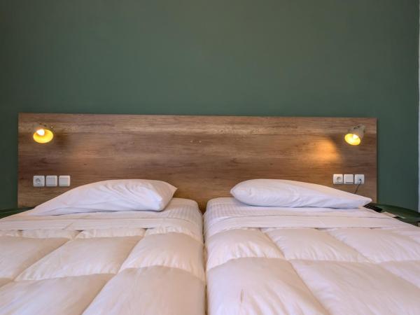 Alexios Hotel : photo 4 de la chambre chambre simple