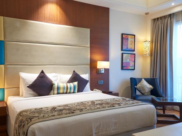 The P L Palace Agra : photo 9 de la chambre suite