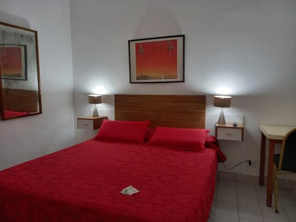 Hotel San Carlos : photo 4 de la chambre chambre double