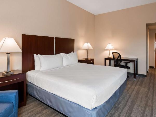 Best Western Tampa : photo 5 de la chambre chambre lit king-size - non-fumeurs
