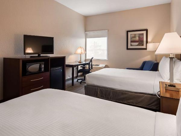Best Western Tampa : photo 8 de la chambre suite lit king-size