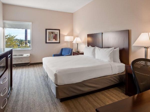 Best Western Tampa : photo 4 de la chambre chambre lit king-size - non-fumeurs