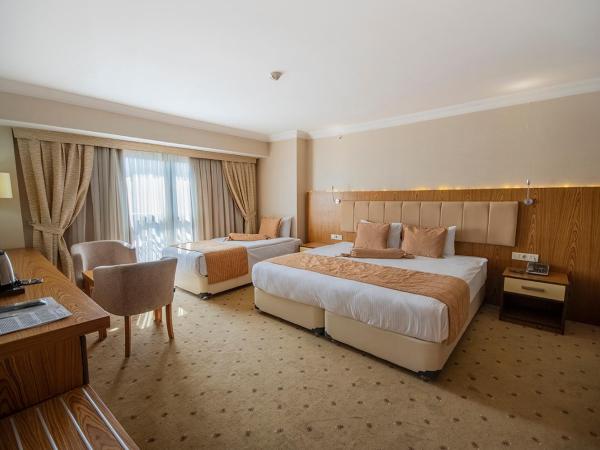 NK Hotel : photo 1 de la chambre chambre triple avec baignoire