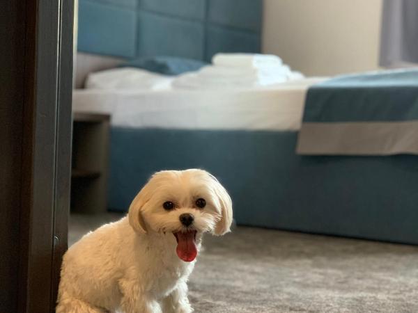 Hotel Sleep Wrocław : photo 1 de la chambre chambre simple confort