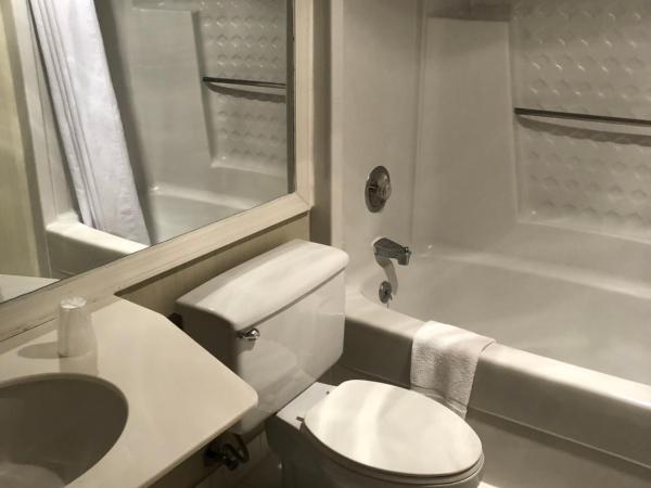 Econo Lodge Metro : photo 8 de la chambre chambre lit king-size