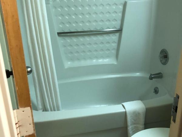 Econo Lodge Metro : photo 9 de la chambre chambre lit king-size