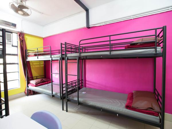 YHA Bradbury Jockey Club Youth Hostel : photo 1 de la chambre 1 bed in 6-person male dormitory with shared bathroom