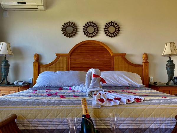 Top de Buzios Boutique Hotel & Spa : photo 10 de la chambre chambre principale de luxe