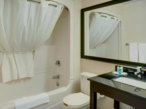 Comfort Inn : photo 5 de la chambre chambre double avec 2 lits doubles