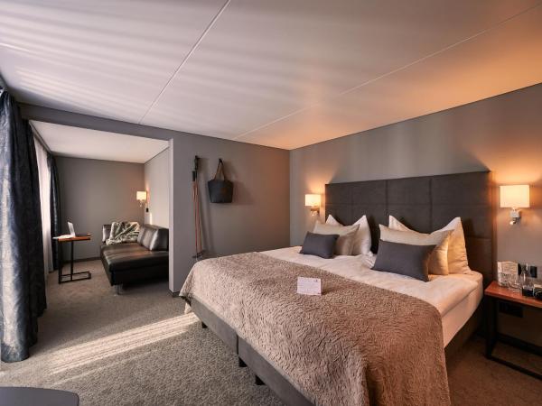 Hotel Ambiance : photo 1 de la chambre suite junior - vue sur mont cervin