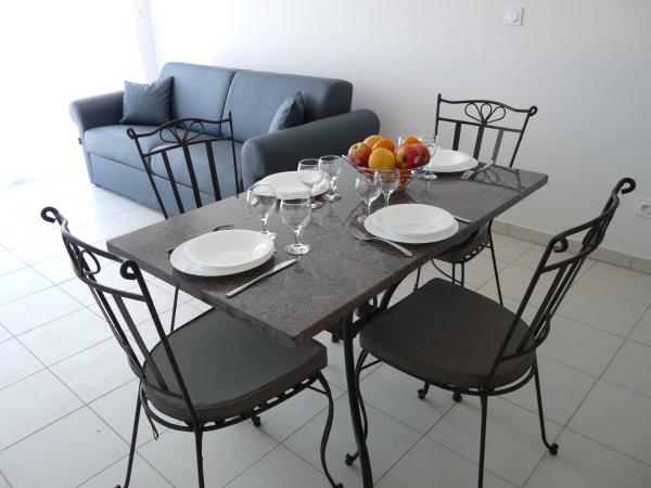 Residence de Tourisme la Provence : photo 8 de la chambre appartement 1 chambre (2 adultes)