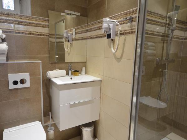 Hôtel Edelweiss : photo 4 de la chambre chambre quadruple supérieure