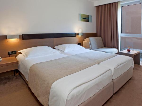 Hotel Molindrio Plava Laguna : photo 5 de la chambre chambre Économique