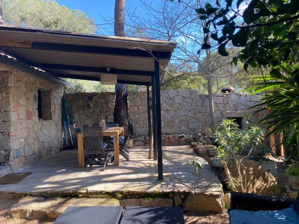 Maranatha Résidence avec plage privée, piscine chauffée : photo 9 de la chambre villa 2 chambres - vue sur jardin - palmier