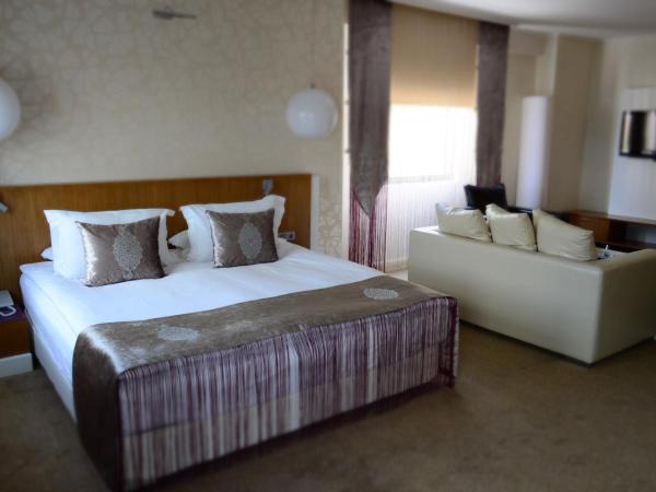 City Hotel Ankara : photo 3 de la chambre suite junior