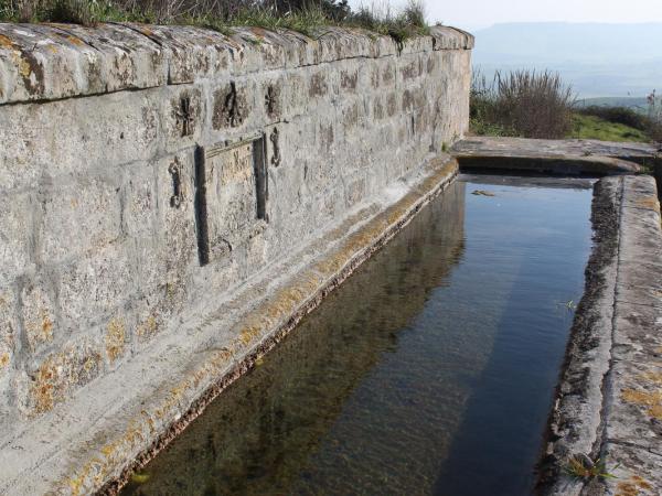 Masseria La Fiorita : photo 7 de la chambre chambre triple