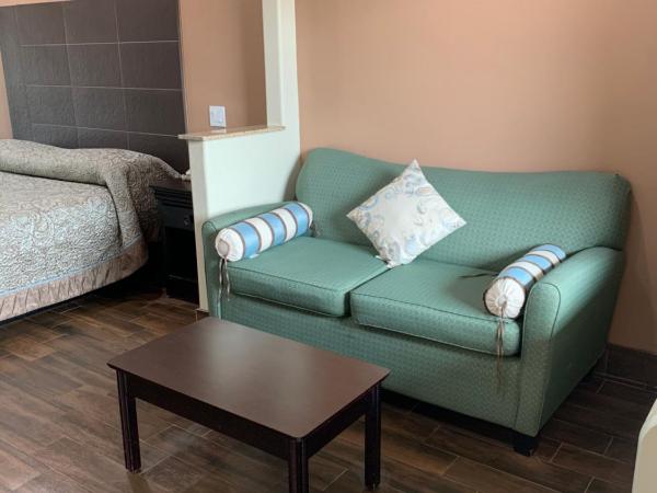 Sterling Inn and Suites at Reliant and Medical Center Houston : photo 2 de la chambre chambre lit king-size