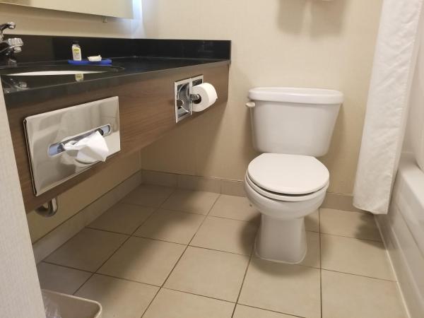 Holiday Inn Express Edmonton Downtown, an IHG Hotel : photo 2 de la chambre chambre lit king-size standard