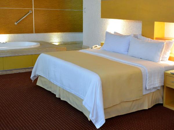 Holiday Inn Morelia, an IHG Hotel : photo 3 de la chambre suite lit king-size