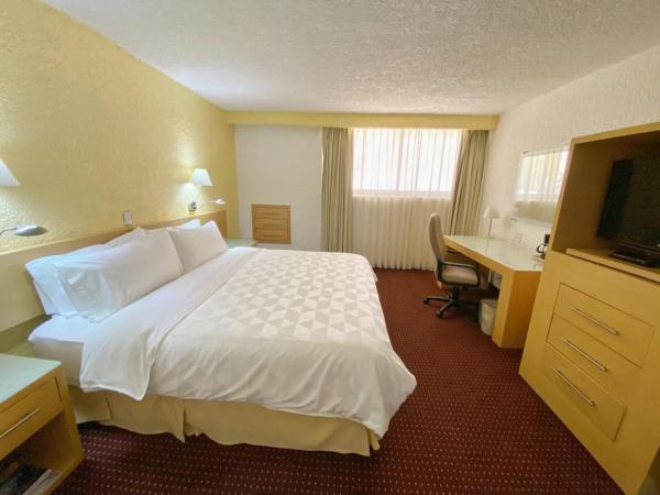 Holiday Inn Morelia, an IHG Hotel : photo 4 de la chambre chambre lit king-size standard avec douche à l'italienne