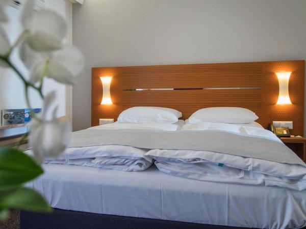 Hotel la Palma au Lac : photo 3 de la chambre chambre simple classique - vue sur montagnes