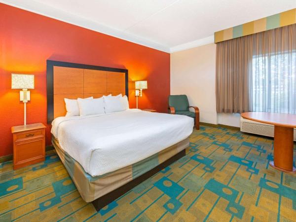 La Quinta by Wyndham USF (Near Busch Gardens) : photo 3 de la chambre chambre lit king-size