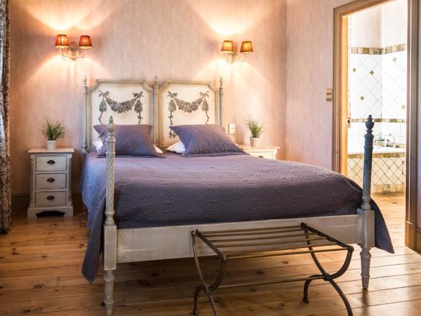 Historic manor, medieval town 10 minutes walk, private parking, garden : photo 9 de la chambre appartement - rez-de-chaussée