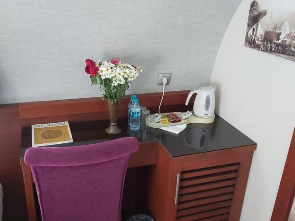 Dareyn Hotel : photo 5 de la chambre chambre triple - vue sur ville