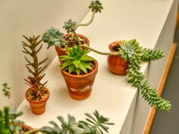 Casa Melgar : photo 1 de la chambre chambre double