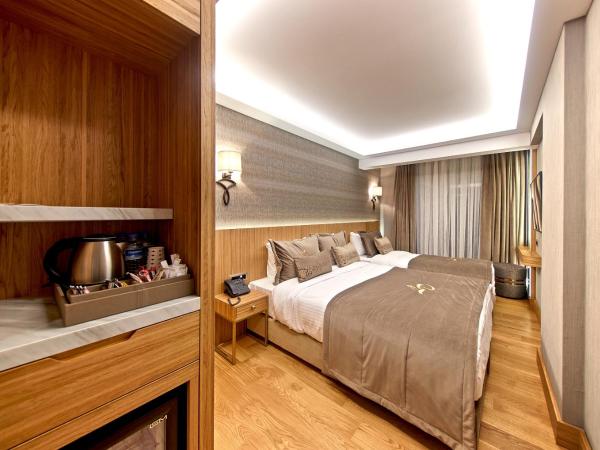 Lady Diana Hotel : photo 7 de la chambre chambre triple