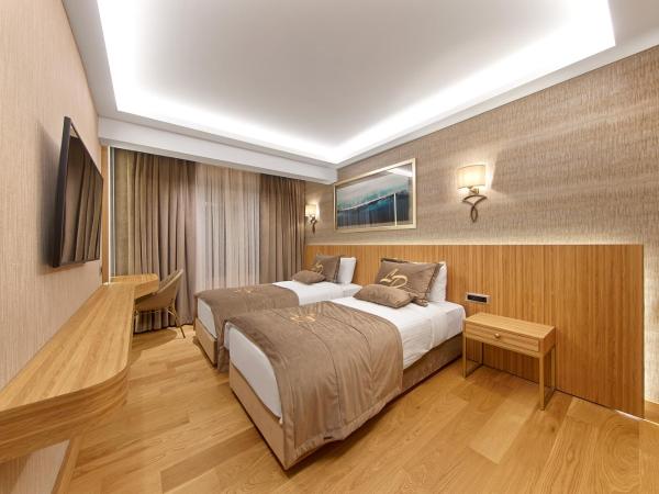 Lady Diana Hotel : photo 9 de la chambre chambre lits jumeaux standard