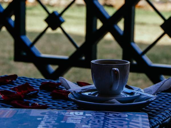 Club Paradisio : photo 4 de la chambre chambre double - vue sur piscine (2 adultes & 1 enfant moins de 12 ans)