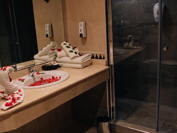 Club Paradisio : photo 3 de la chambre chambre double - vue sur jardin