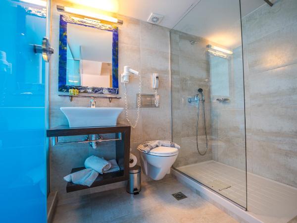 Forest Park Hotel : photo 8 de la chambre chambre standard avec vue sur la montagne