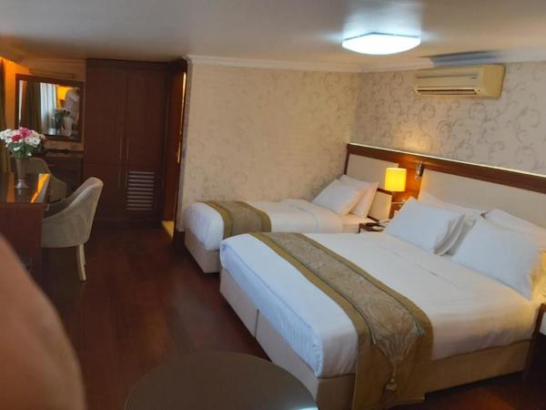 Dareyn Hotel : photo 3 de la chambre chambre triple - vue sur ville