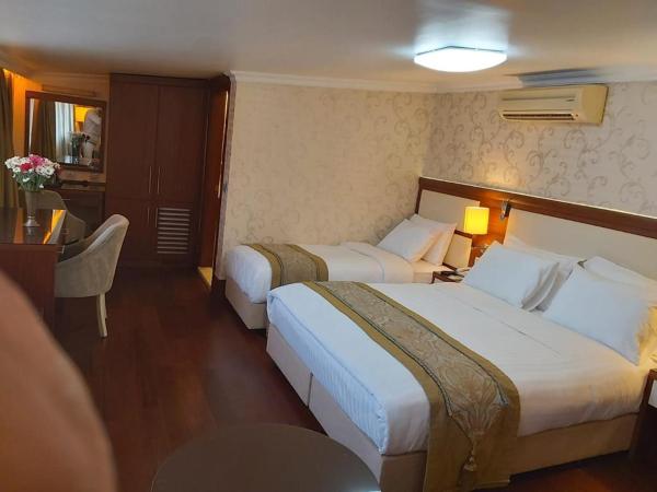 Dareyn Hotel : photo 7 de la chambre chambre triple - vue sur ville