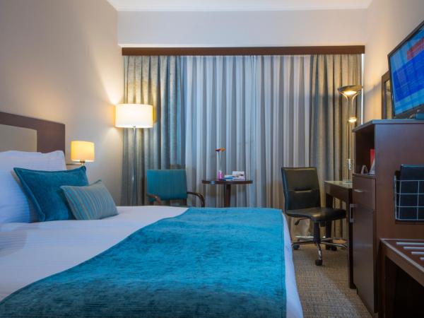 Radisson Blu Ankara : photo 10 de la chambre chambre standard