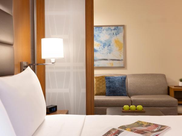 Hyatt Place Houston Downtown : photo 1 de la chambre chambre lit king-size spéciale avec canapé-lit