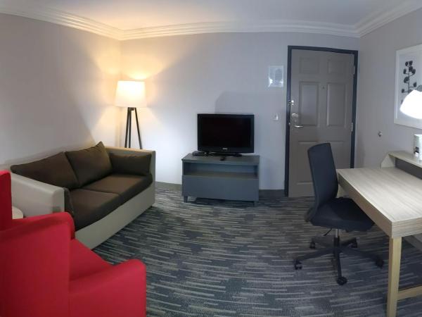 Country Inn & Suites by Radisson, Nashville, TN : photo 9 de la chambre suite 1 chambre lit king-size avec canapé-lit - non-fumeurs