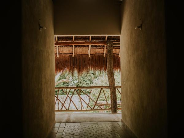 Xiknal Cozumel : photo 5 de la chambre chambre double standard