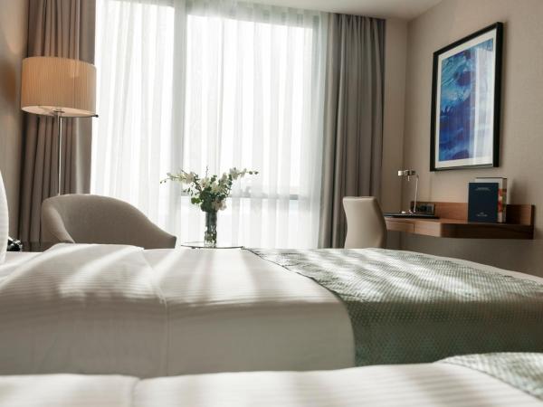 Elite World Grand Istanbul Küçükyalı : photo 4 de la chambre chambre deluxe avec 2 lits simples