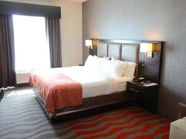 Holiday Inn Houston West - Westway Park, an IHG Hotel : photo 1 de la chambre standard king room with roll-in shower - communications access