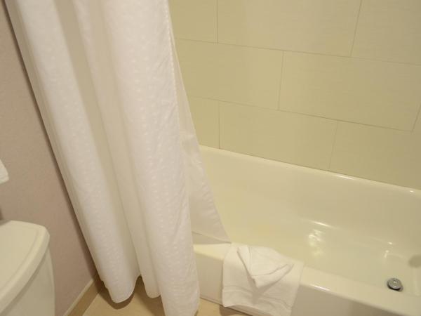 Holiday Inn Houston West - Westway Park, an IHG Hotel : photo 3 de la chambre standard king room with roll-in shower - communications access