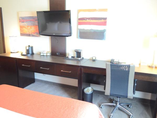 Holiday Inn Houston West - Westway Park, an IHG Hotel : photo 4 de la chambre standard king room with roll-in shower - communications access