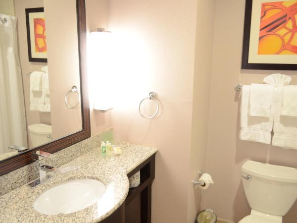 Holiday Inn Houston West - Westway Park, an IHG Hotel : photo 5 de la chambre standard king room with roll-in shower - communications access