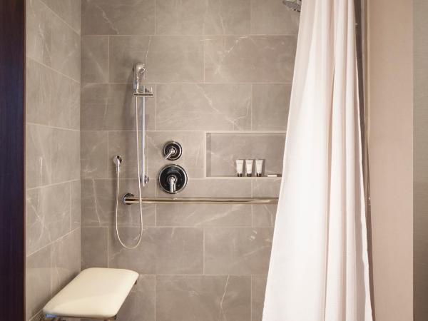 Grand Hyatt Nashville : photo 9 de la chambre chambre lit king-size pour personnes à mobilité réduite avec douche accessible aux personnes à mobilité réduite