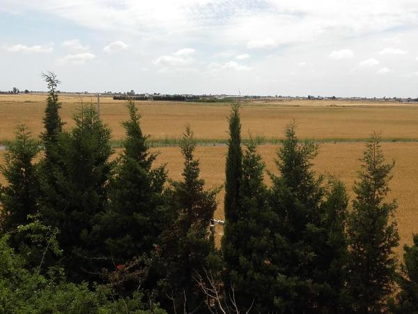 Riad TANJIL : photo 4 de la chambre chambre double ou lits jumeaux - vue sur piscine