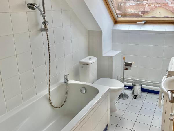 Tilleul Plaza Résidence : photo 10 de la chambre appartement 2 chambres